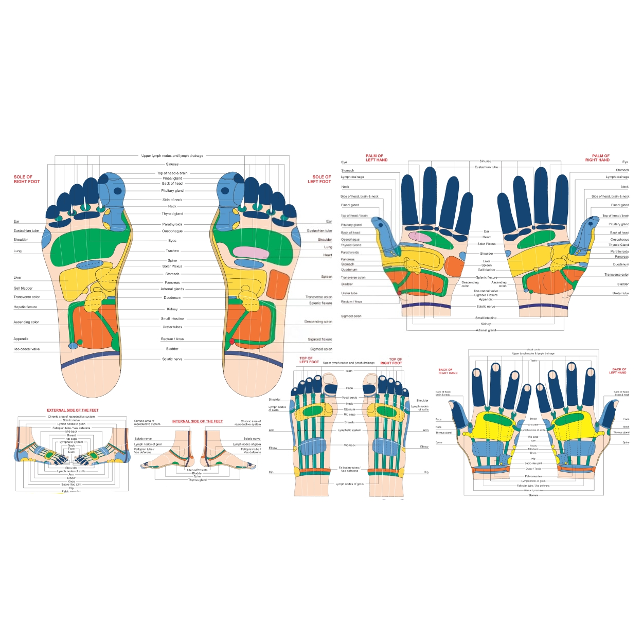 k-start-course-image